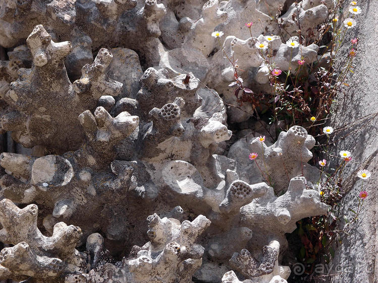 Культурная икона Португалии