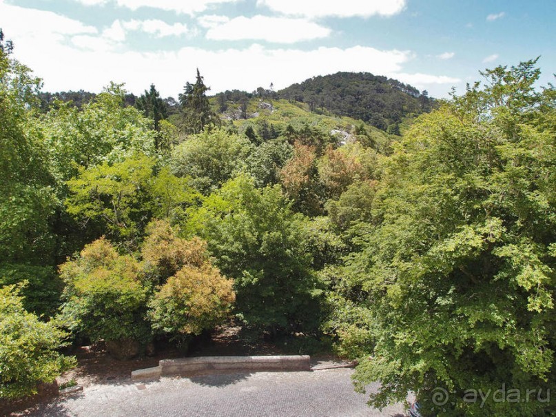 Культурная икона Португалии