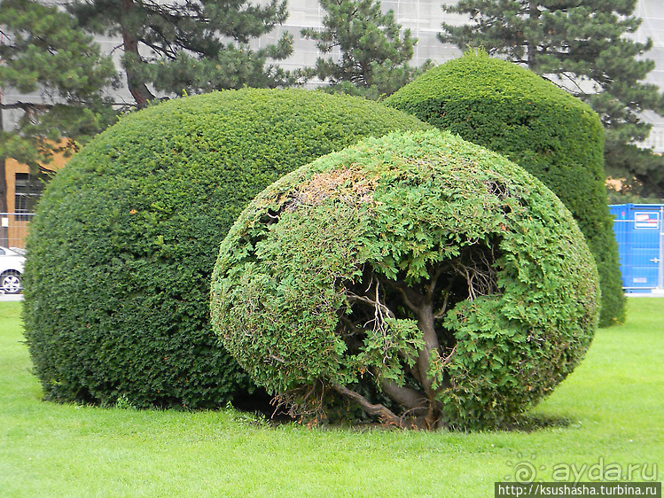 Прогулка по историческому центру Вены