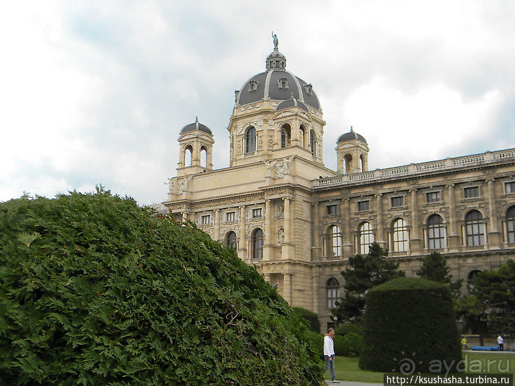 Прогулка по историческому центру Вены