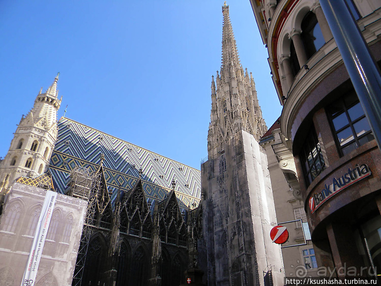 Прогулка по историческому центру Вены