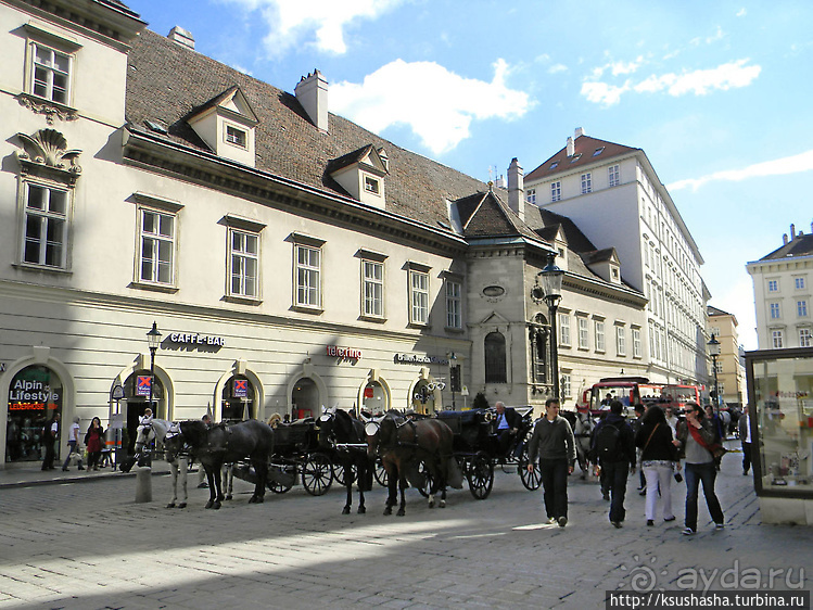 Прогулка по историческому центру Вены