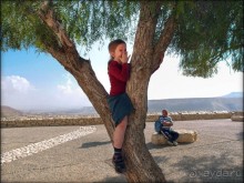 На высоком обрыве