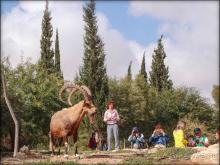 На высоком обрыве