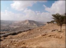 На высоком обрыве