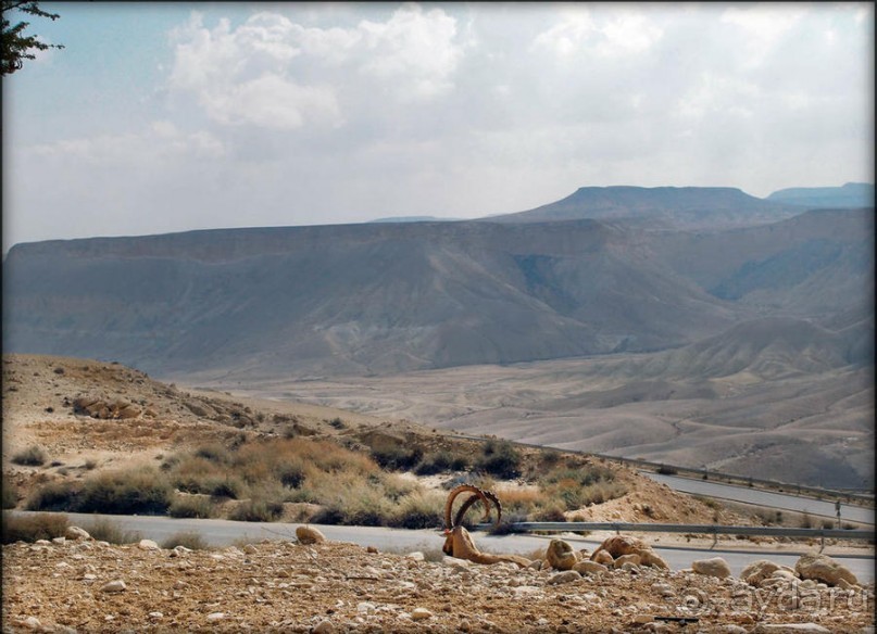 На высоком обрыве