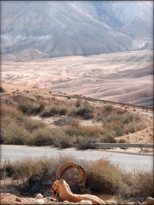 На высоком обрыве