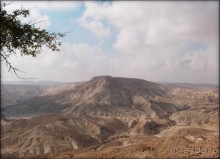 На высоком обрыве