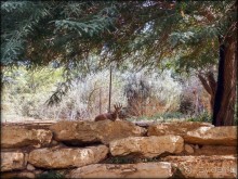 На высоком обрыве