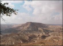 На высоком обрыве