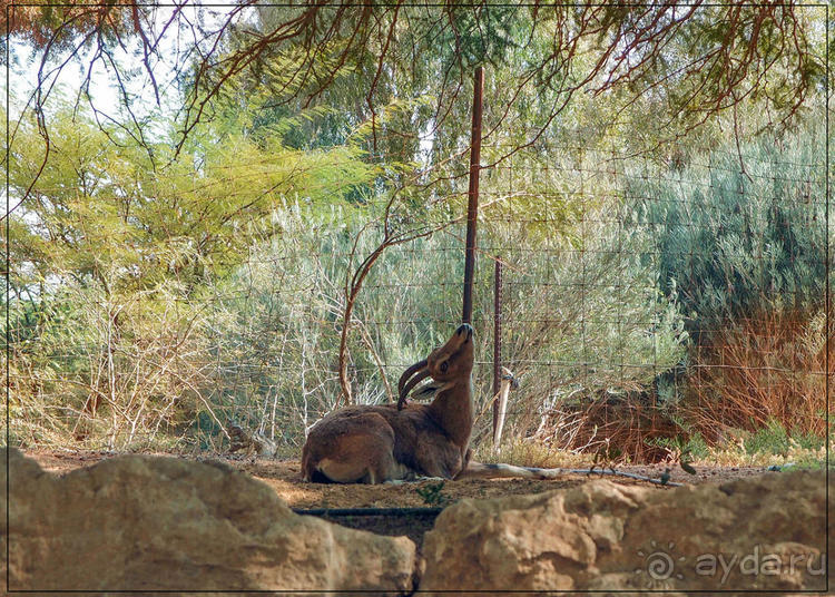 На высоком обрыве