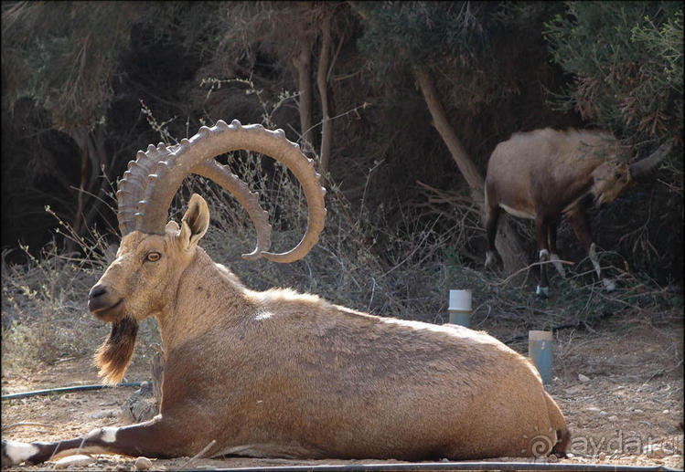 На высоком обрыве