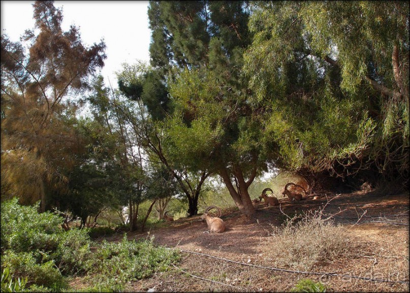 На высоком обрыве