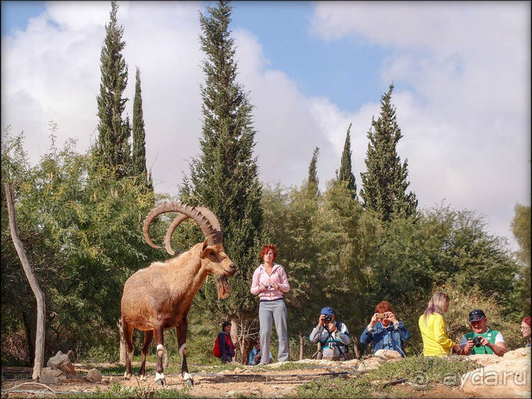 На высоком обрыве