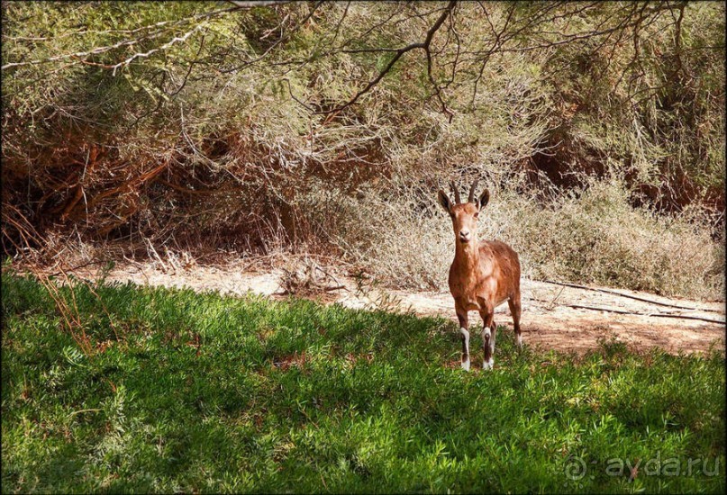На высоком обрыве