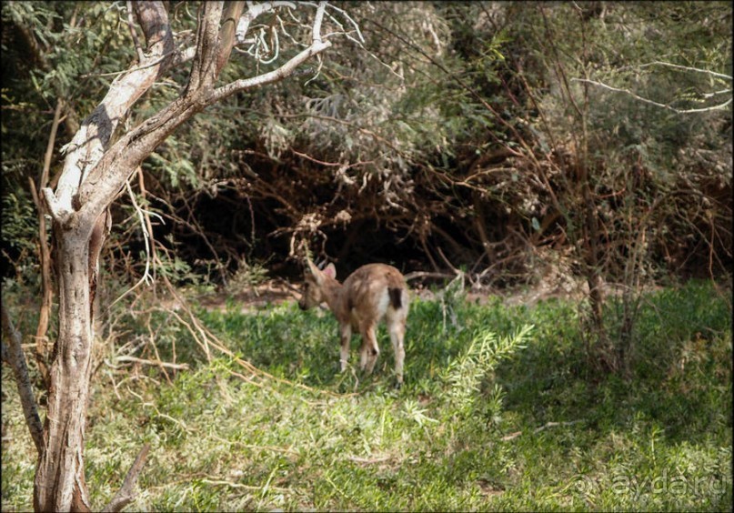 На высоком обрыве