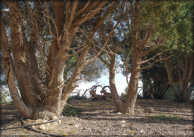 На высоком обрыве