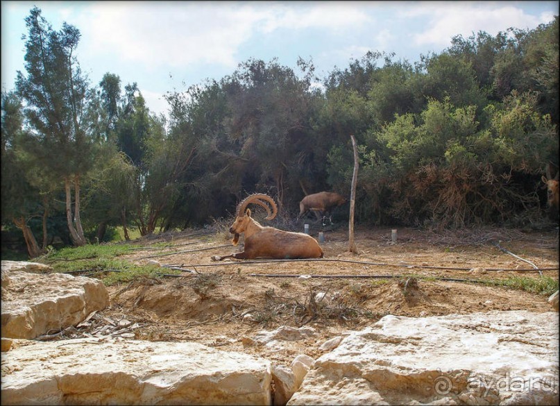 На высоком обрыве