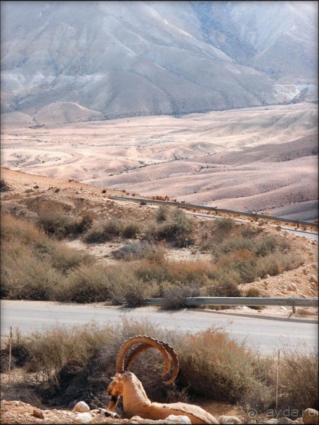 На высоком обрыве