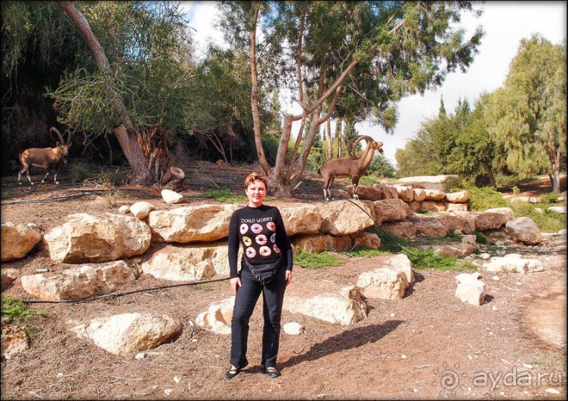 На высоком обрыве