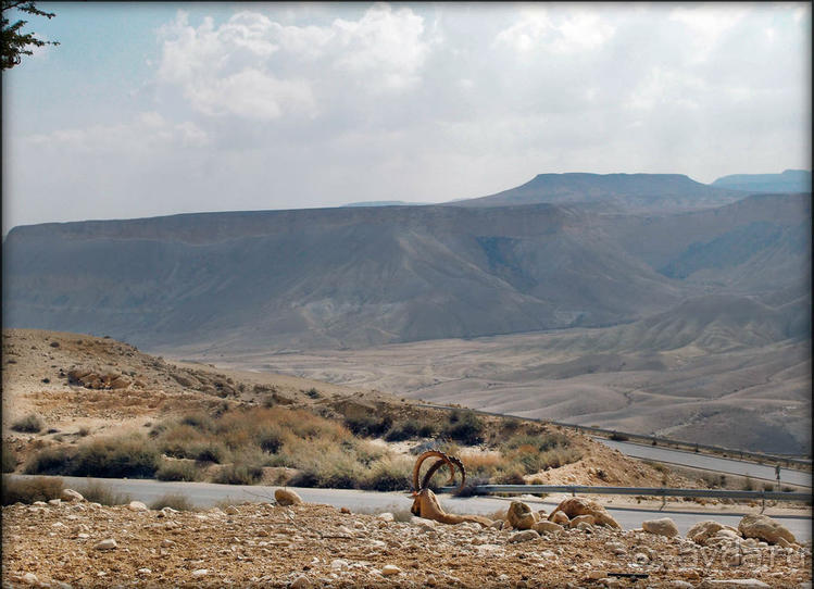 На высоком обрыве