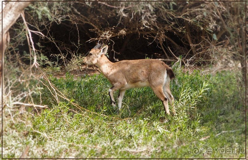 На высоком обрыве