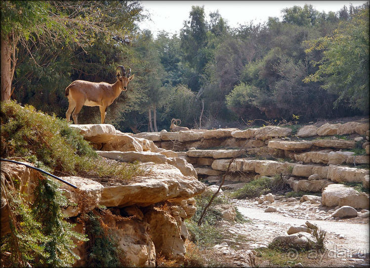 На высоком обрыве