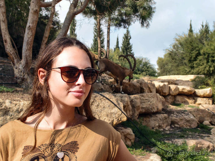 На высоком обрыве