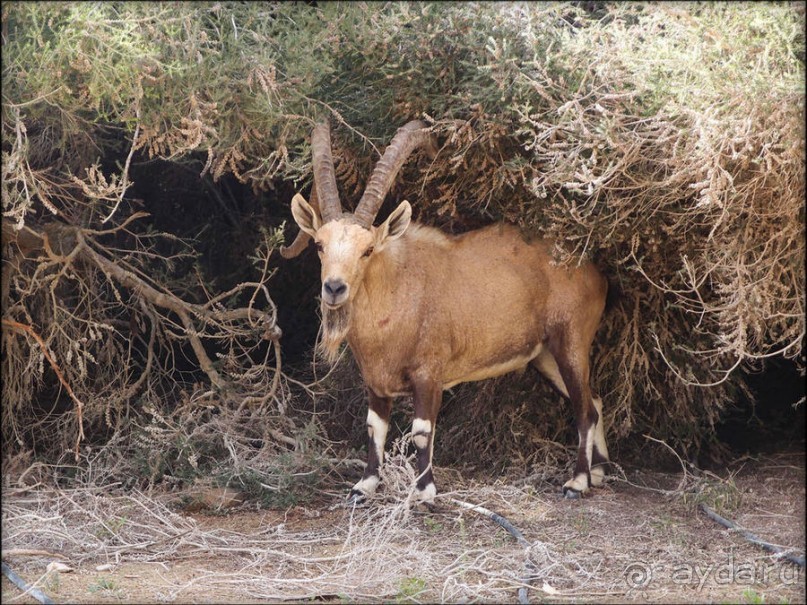 На высоком обрыве