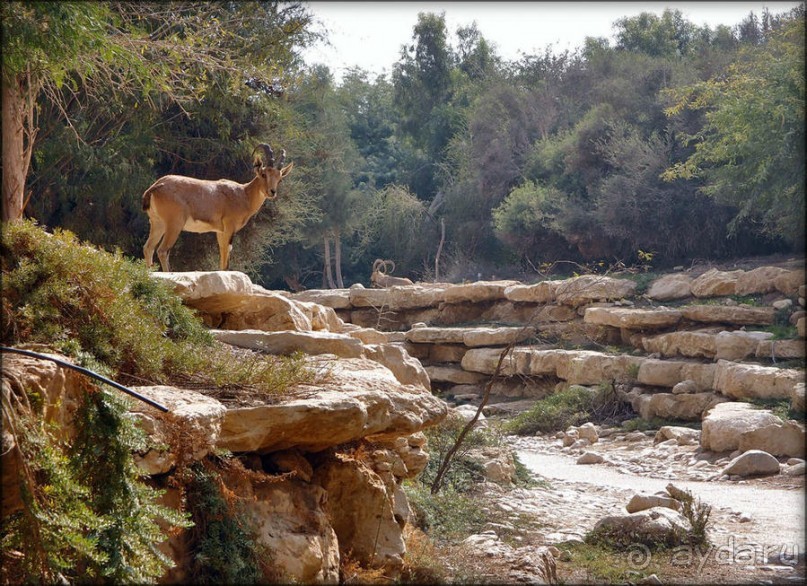 На высоком обрыве