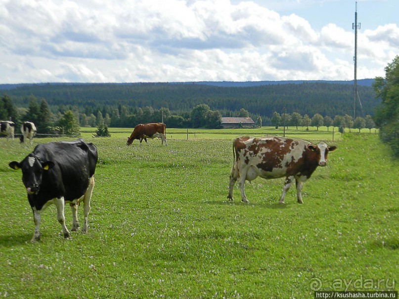 Лесная "глубинка" (ч.1). Рётенбах