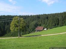 Лесная "глубинка" (ч.1). Рётенбах