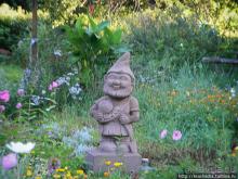 Лесная "глубинка" (ч.1). Рётенбах