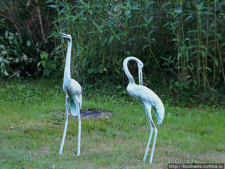Лесная "глубинка" (ч.1). Рётенбах