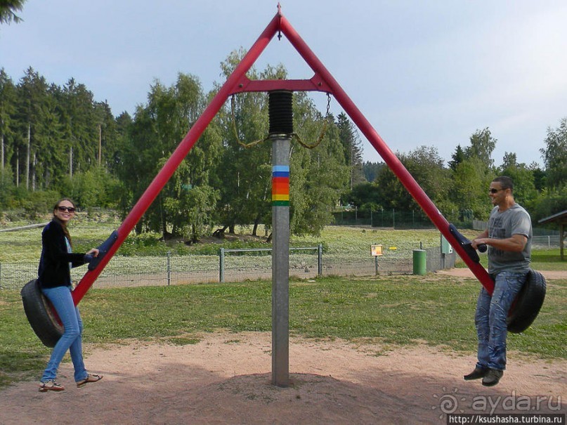 Кенгуру под сосной