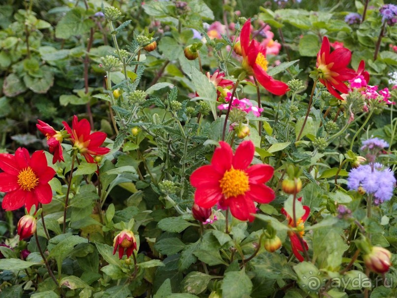 Святыня в тумане