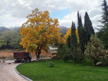 Альбом отзыва "Святыня в тумане"