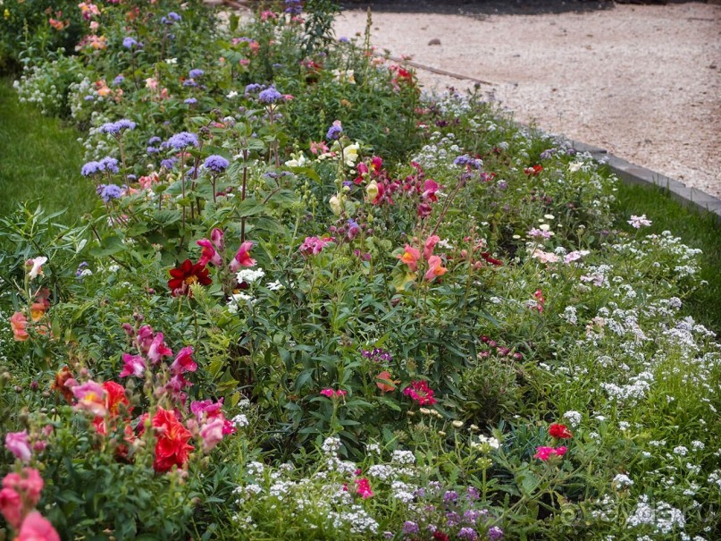 Святыня в тумане