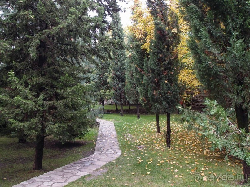 Святыня в тумане