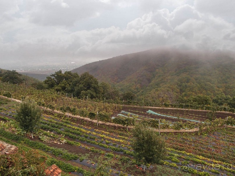 Святыня в тумане