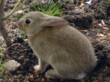 Застывшие мгновения