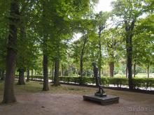 Застывшие мгновения