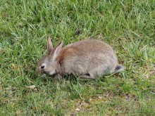 Застывшие мгновения