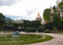 Застывшие мгновения