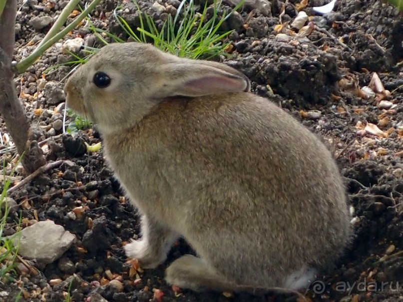 Застывшие мгновения