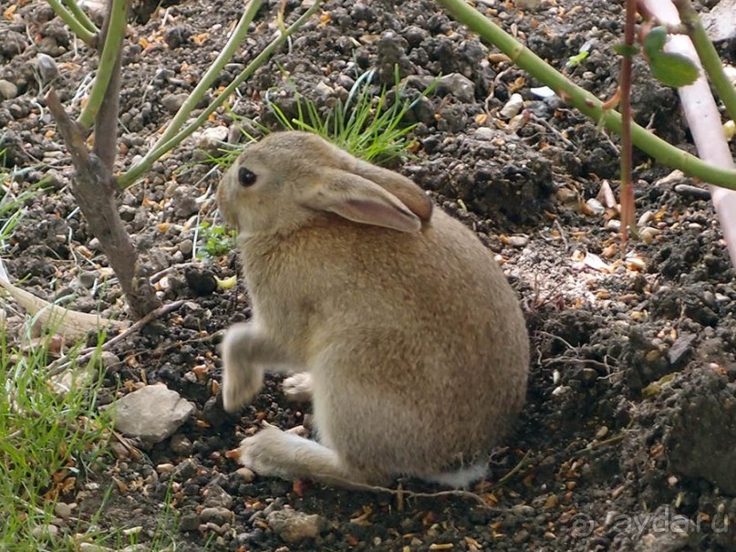 Застывшие мгновения