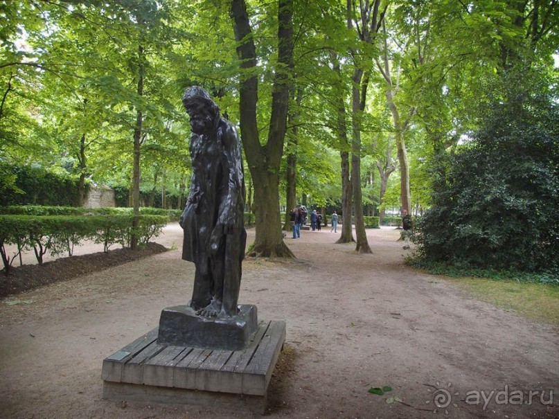 Застывшие мгновения