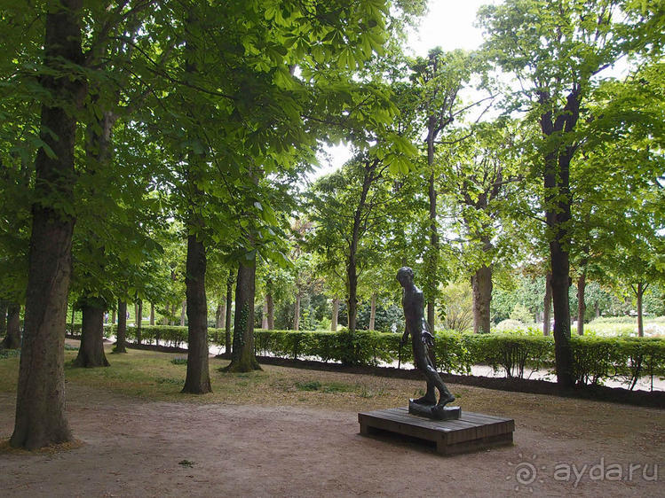 Застывшие мгновения