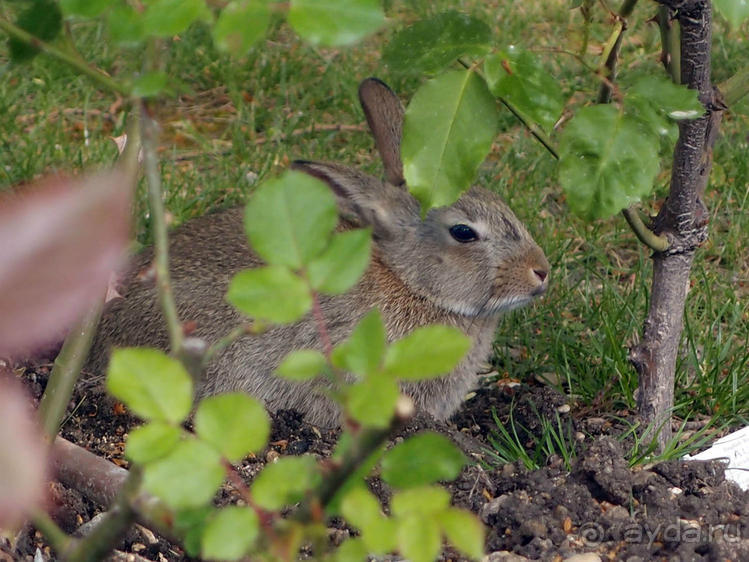 Застывшие мгновения
