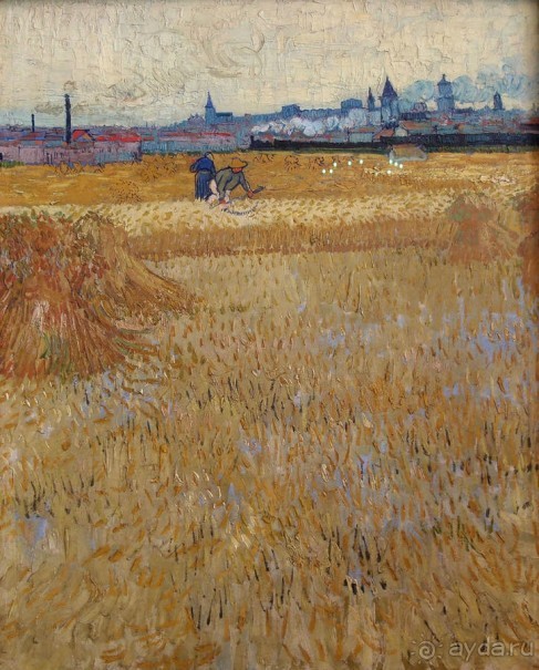 Застывшие мгновения